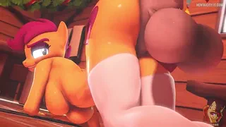 Preview at 00:46