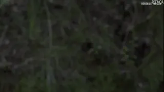 Preview at 01:06