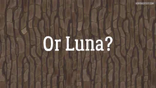 My new sex RPG game Wild Rabbits: Mating Season is available now on Steam