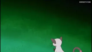 Preview at 00:11