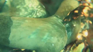 Escape is just out of reach