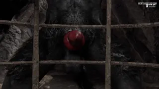 Werewolf Wants You Bad (Vr34 Studio)